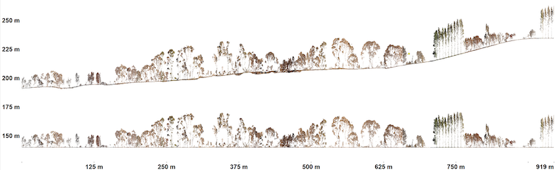 The image below shows a three-metre-wide vertical cross-section along the yellow line. Trees are displayed above the elevation profile (top graph) and as height above ground (bottom graph). The resolution of the pointcloud is so good that one can easily recognise even partly burnt trees.